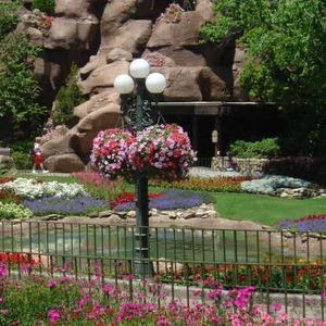 Meet your Posher, Therese